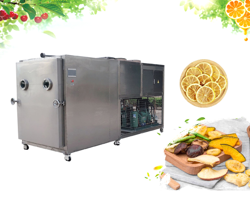 China Un compresor más seco 10m2 100kg SUS304 de Bizter de la máquina de helada de las verduras de raíz proveedor